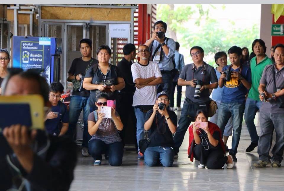 Thai Mob