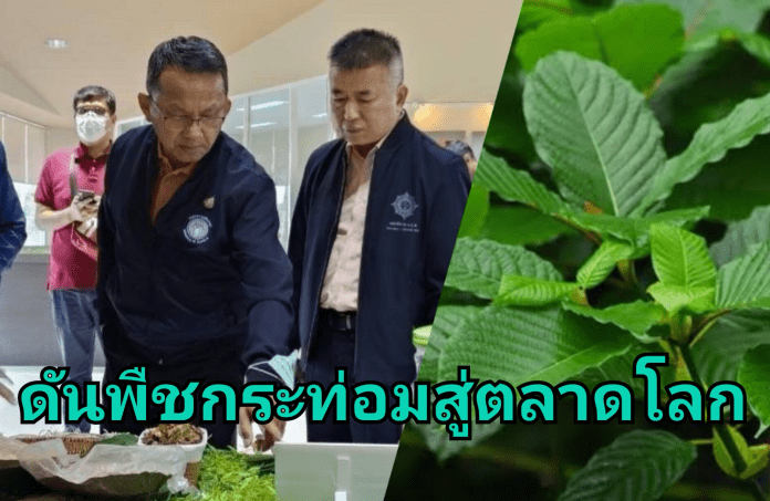 23-08-24-10-20-02-004_deco_edit_440926298731677