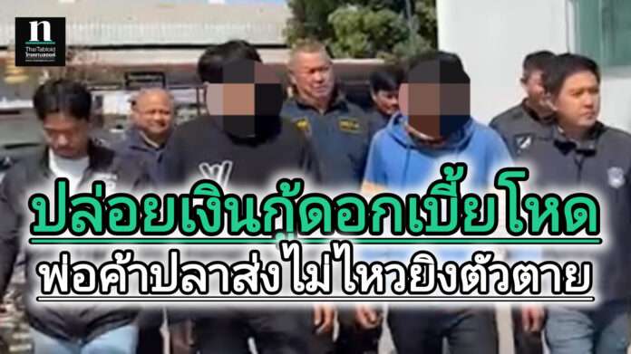 InShot_20250120_173338244