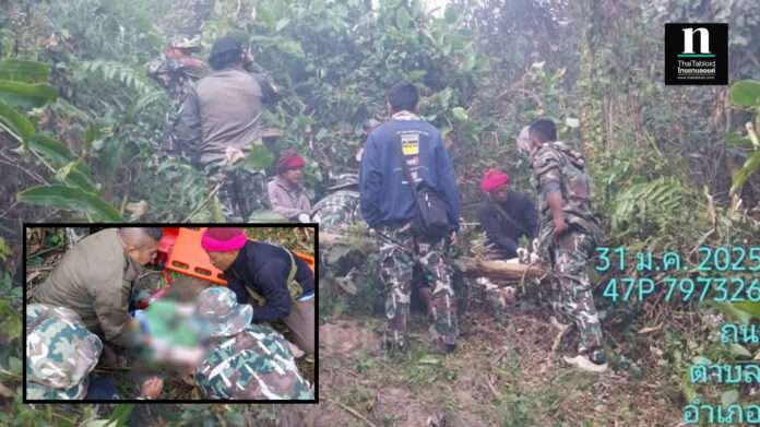 InShot_20250131_131525183