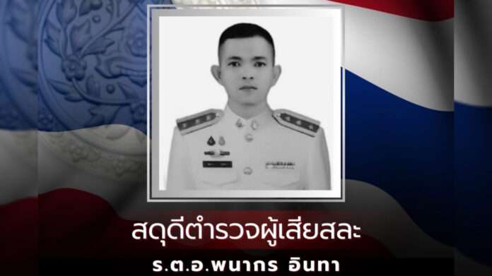 InShot_20250517_161246941