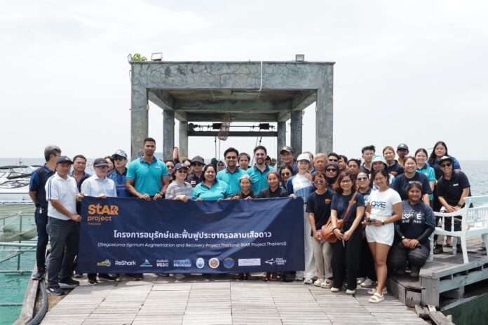 กรมทะเล อนุรักษ์ ฉลาม