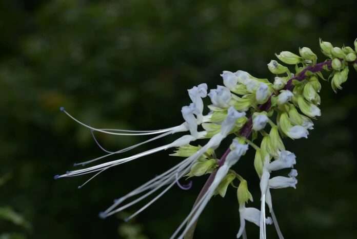 FB_IMG_1750638900986