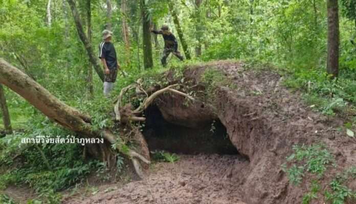 FB_IMG_1751090551174