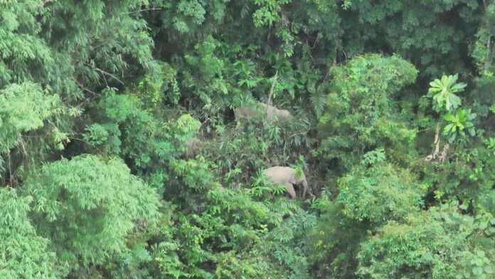 FB_IMG_1751239739114