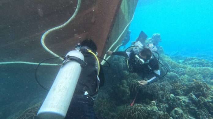 InShot_20250617_205119623