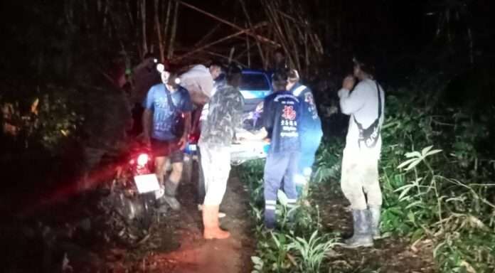 516590985_1115007710812261_3085559446219484490_n