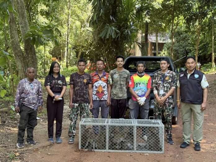 517579853_1117434817236217_6145465553103953663_n