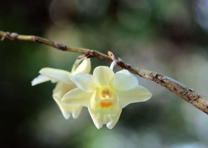 FB_IMG_1751326481582