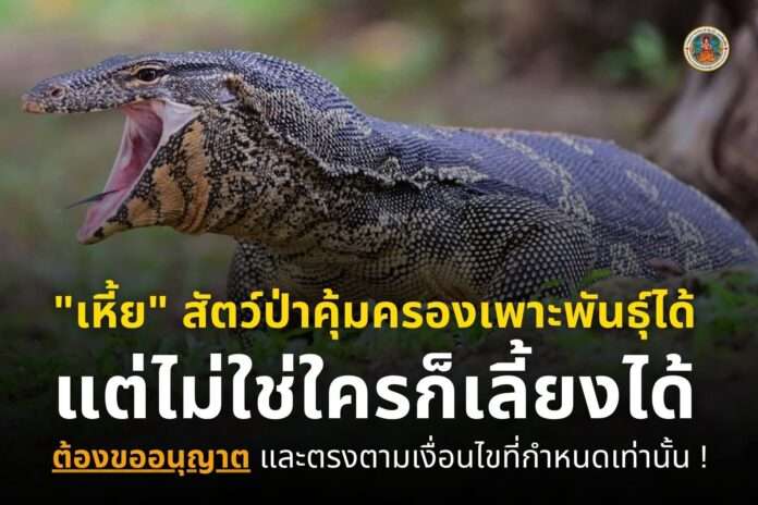 FB_IMG_1751556003533