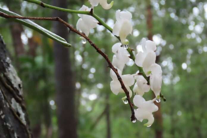 FB_IMG_1751937043326