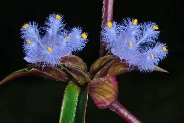 FB_IMG_1752794920208