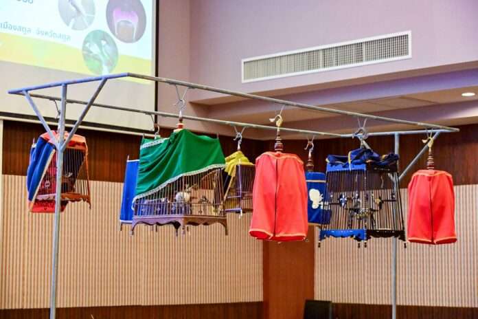 ผ้าคลุม กรงนก