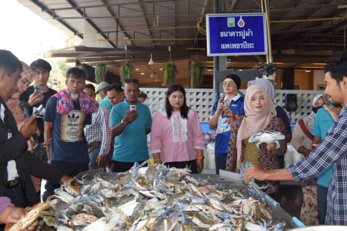 ศอ.บต. ดูงานปูม้า