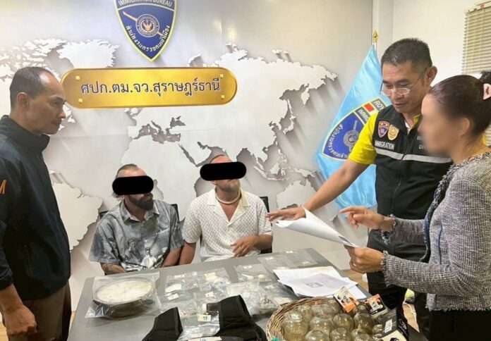 1755937130233_edit_257217799791478