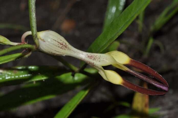 FB_IMG_1754262633577