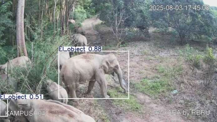 FB_IMG_1754304478512