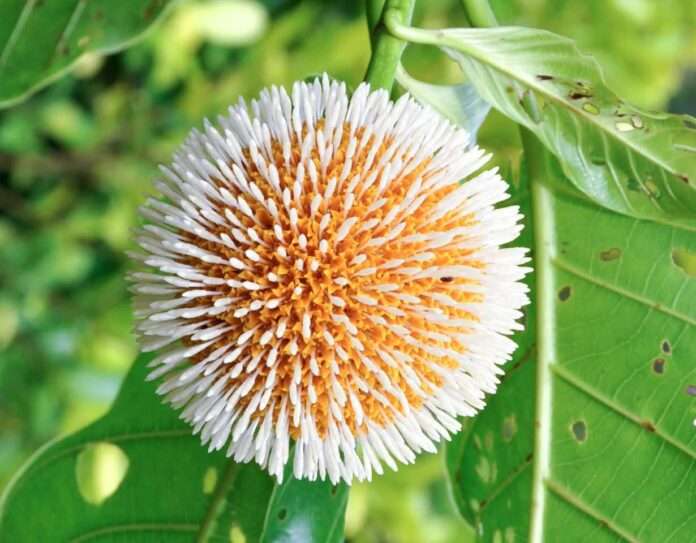 FB_IMG_1754525892979