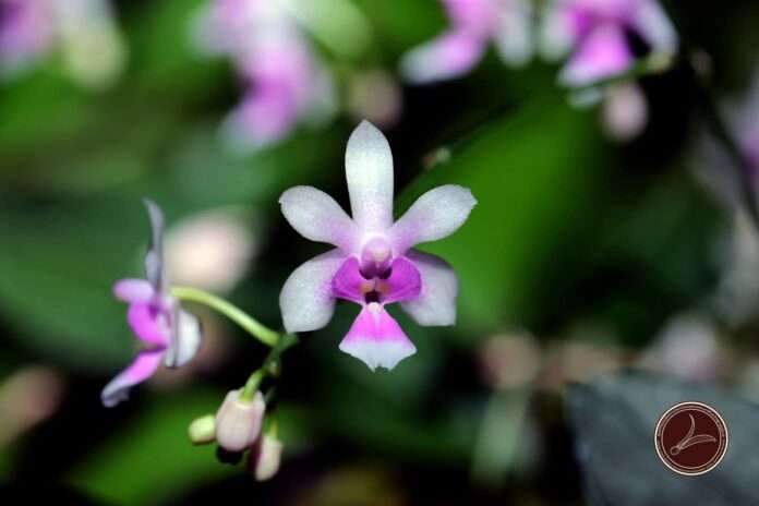 FB_IMG_1755735854389