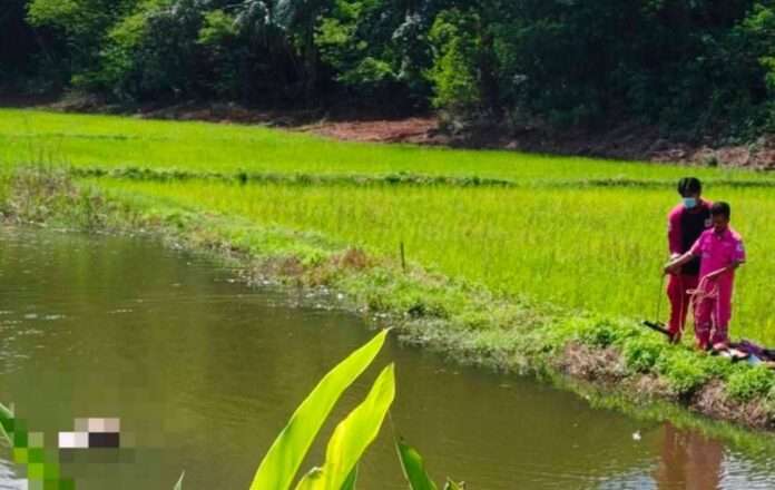 FB_IMG_1755736701093