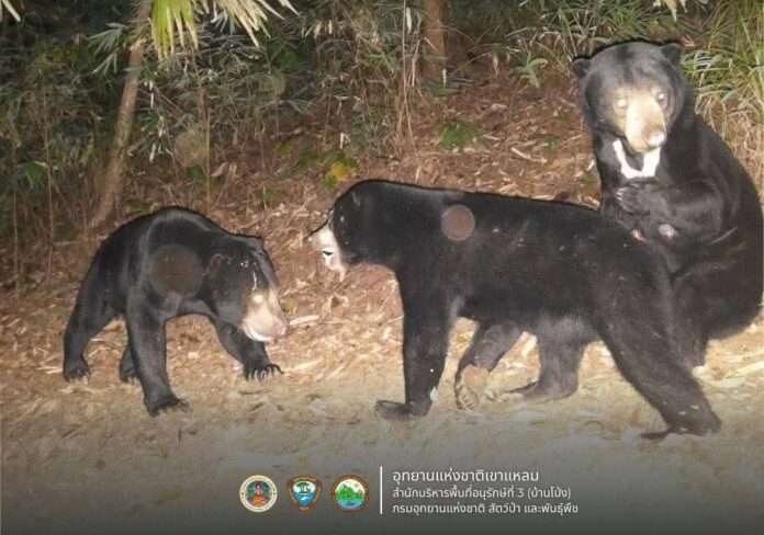 FB_IMG_1756089085967_edit_382023190723997