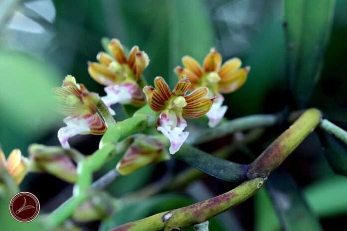 FB_IMG_1756167334870