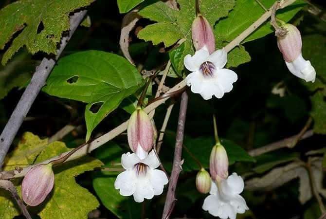 FB_IMG_1756258265791