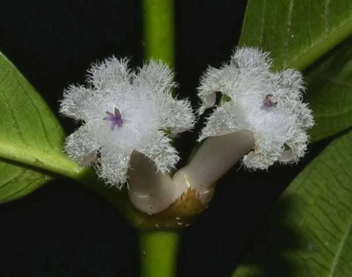 FB_IMG_1756424405589_edit_87193448526797