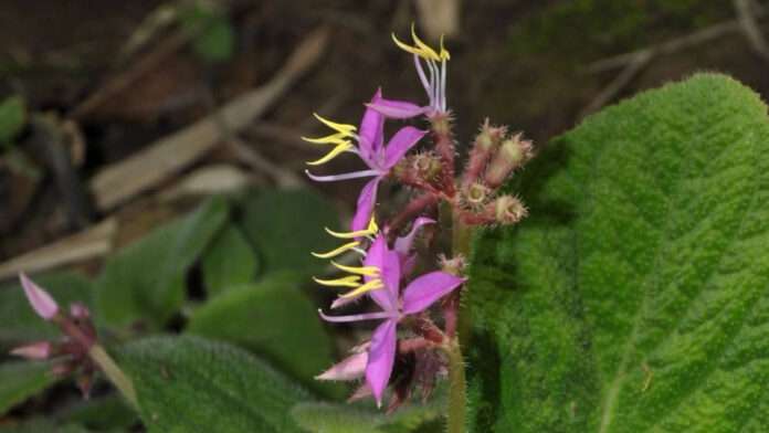 InShot_20250817_074610478