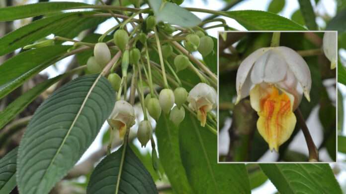 InShot_20250823_071531529