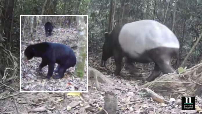 InShot_20250824_103412396