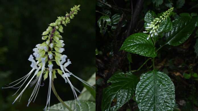 InShot_20250830_065722053