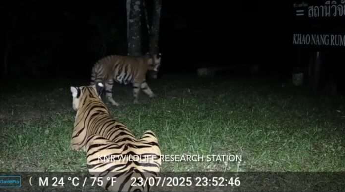 Screenshot_20250828_160426_com.facebook.katana_edit_53751461944400