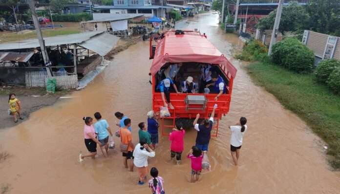 1758938766148_edit_35454529553963