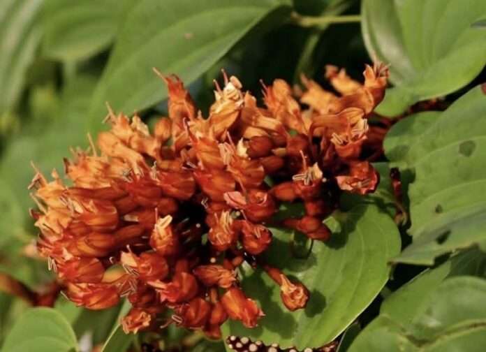 FB_IMG_1756702829115