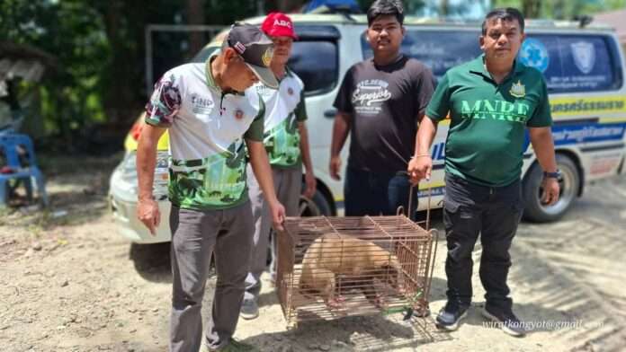 FB_IMG_1756815491202