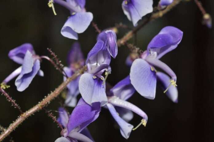 FB_IMG_1756941910600