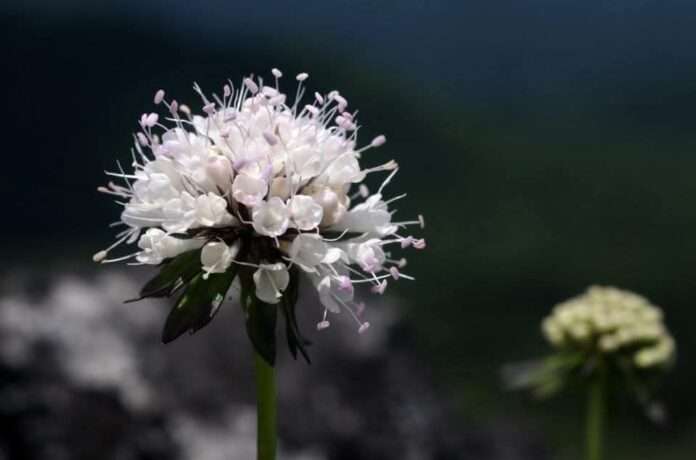 FB_IMG_1757042379827