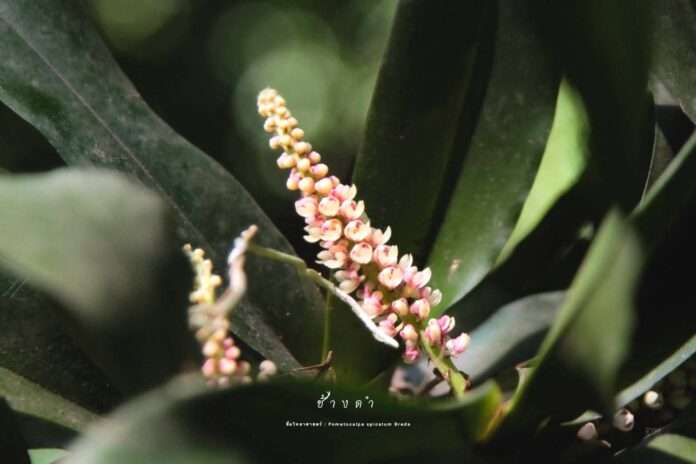 FB_IMG_1757546471177_edit_38792065731059