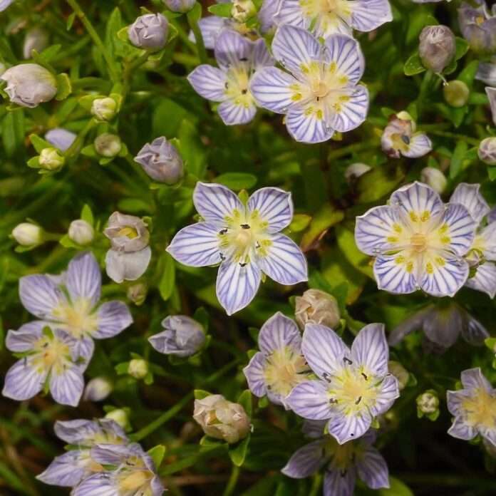 FB_IMG_1757808839421