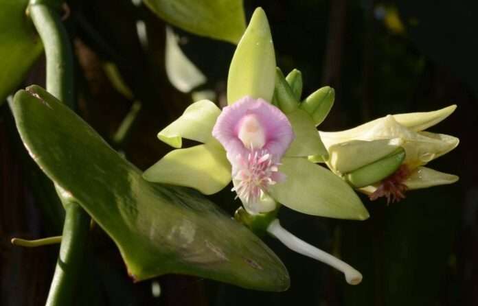 FB_IMG_1757984086920_edit_37842960271307