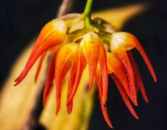 FB_IMG_1758153235970_edit_38806831433139