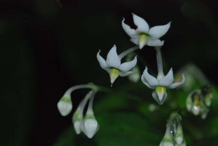 FB_IMG_1758249152542