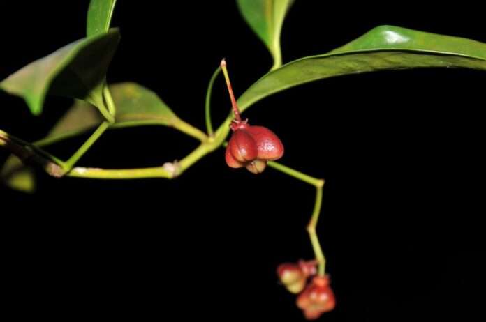 FB_IMG_1758410887213