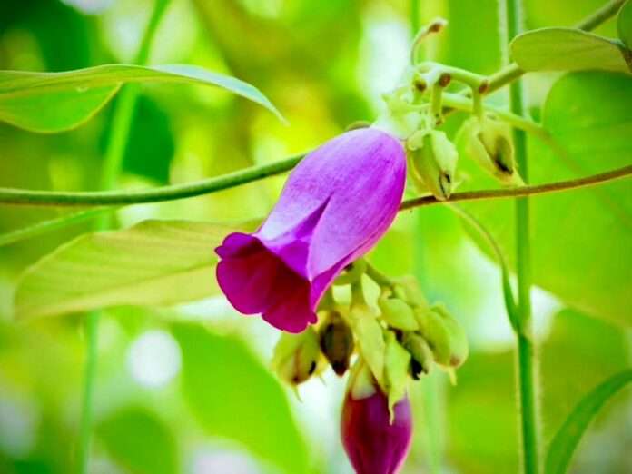 FB_IMG_1758671844537