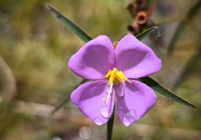 FB_IMG_1759107706769_edit_149695493134969