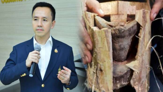 InShot_20250907_155251248