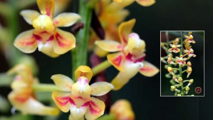 InShot_20250909_083901063