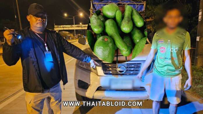 InShot_20250918_130740121