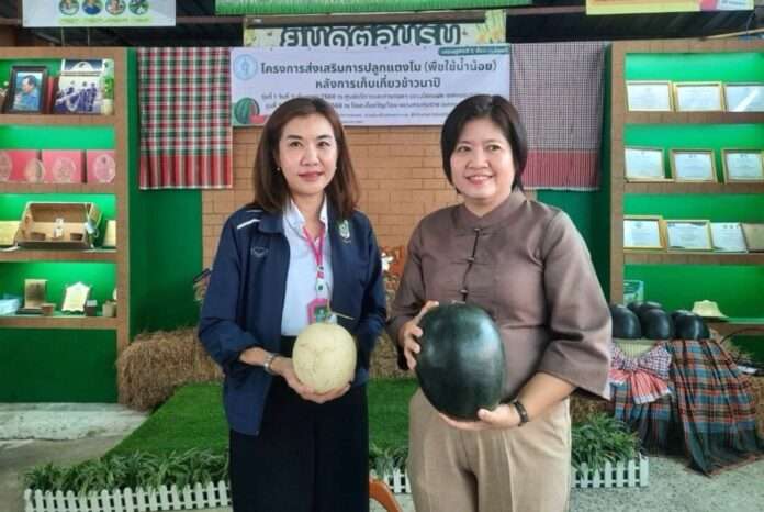 Screenshot_20250913_144551_com.gbox.android_edit_76894988993994